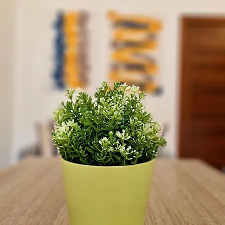 Apartamento Casa Elena By Tramonti *